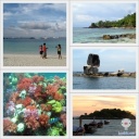 Lipe