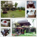 salacafe chiangmai