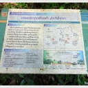 Chiangmai146