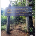Chiangmai153