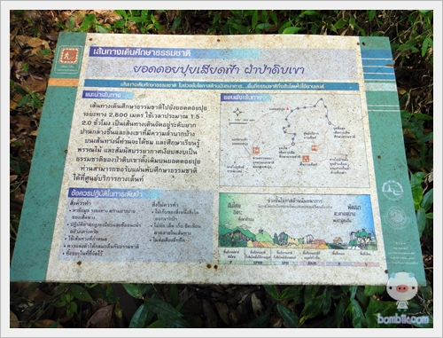 Chiangmai146.JPG